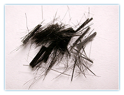 �����ўr������������w�S