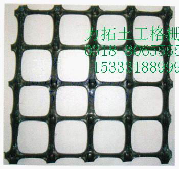 �����p�������������