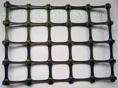 �V���������