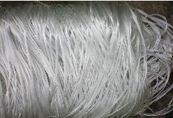 �o�A�����w�S�U�z