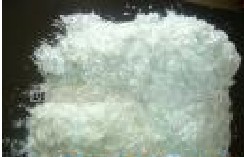 Ħ�������ò����w�S���нz