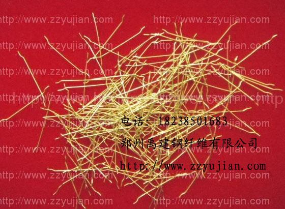 ��������w�S������b��w�Sɽ����w�S�r��