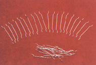 ����䓽z��w�S