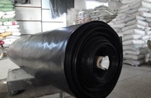 LDPE����Ĥ��LDPE