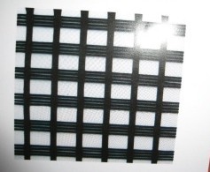 �p���w�����������