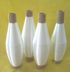 �o�A�����w�S