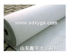 �͉A�W(w��ng)��