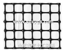 �����p���������