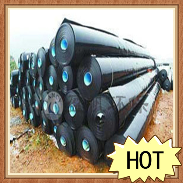 ���B����