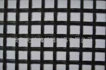 ���w�������