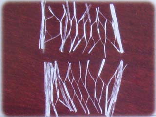 �۱�ϩ�W���w�S