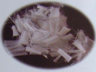 ���������w�S