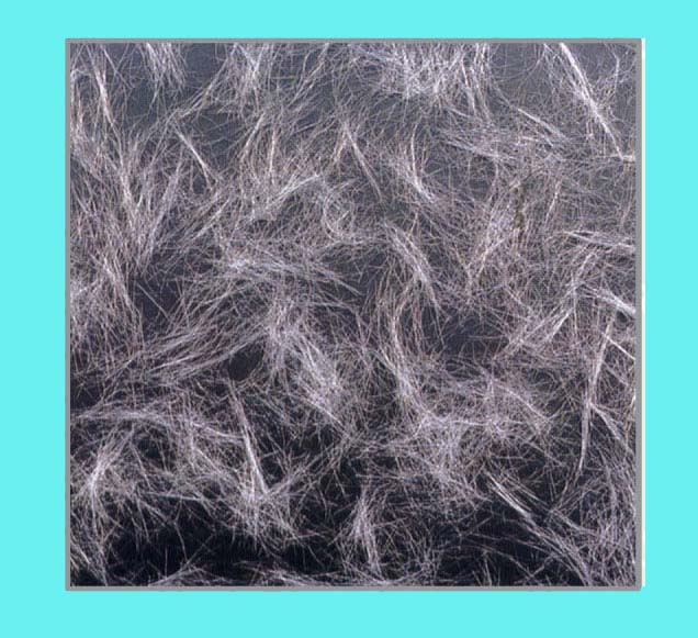 �����w�S