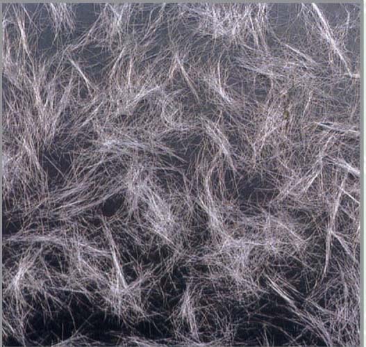 ���ь����w�S