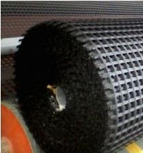 �p���w����