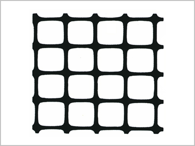 �p���������