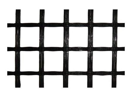 ��������š���̓r�������w���