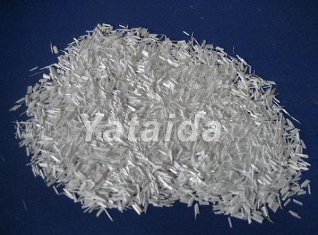 �o�A�����w�S