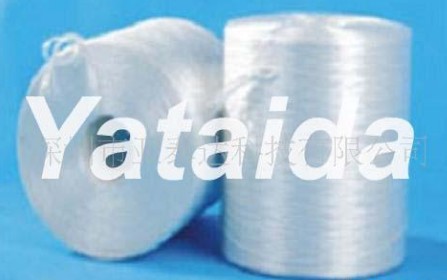 �����w�S���伆