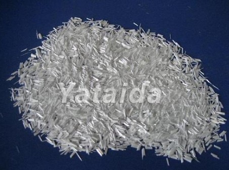 �o�A�����w�S