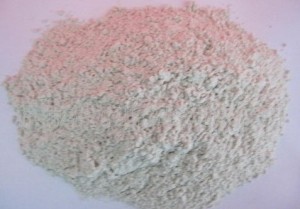 ����ľ�|�w�S��