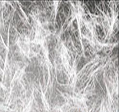 ����ɰ�{�����w�S