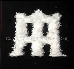 ɰ�{���ѷ��B�w�S