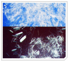 �ͻ�����ÿ��ѷ������W(xu��)�w�S