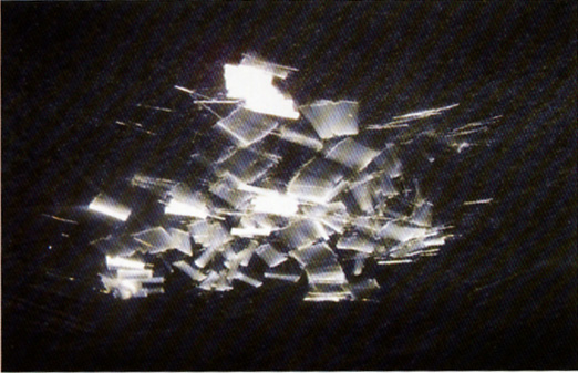 ��������w�S