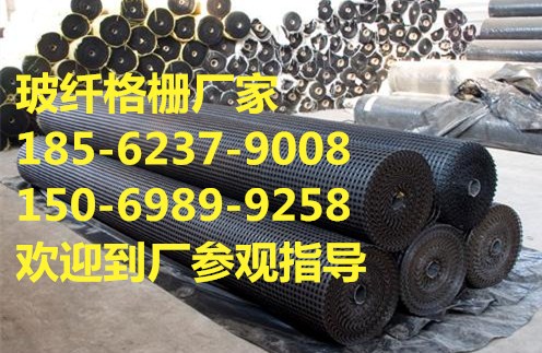 �����w�S�������