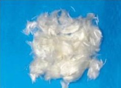 �۱�ϩ�νz�w�S