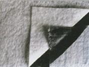 �ͺ�����Ĥ