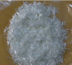 �o�A�����w�S���нz