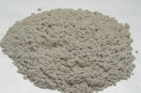 ľ�|���w�S